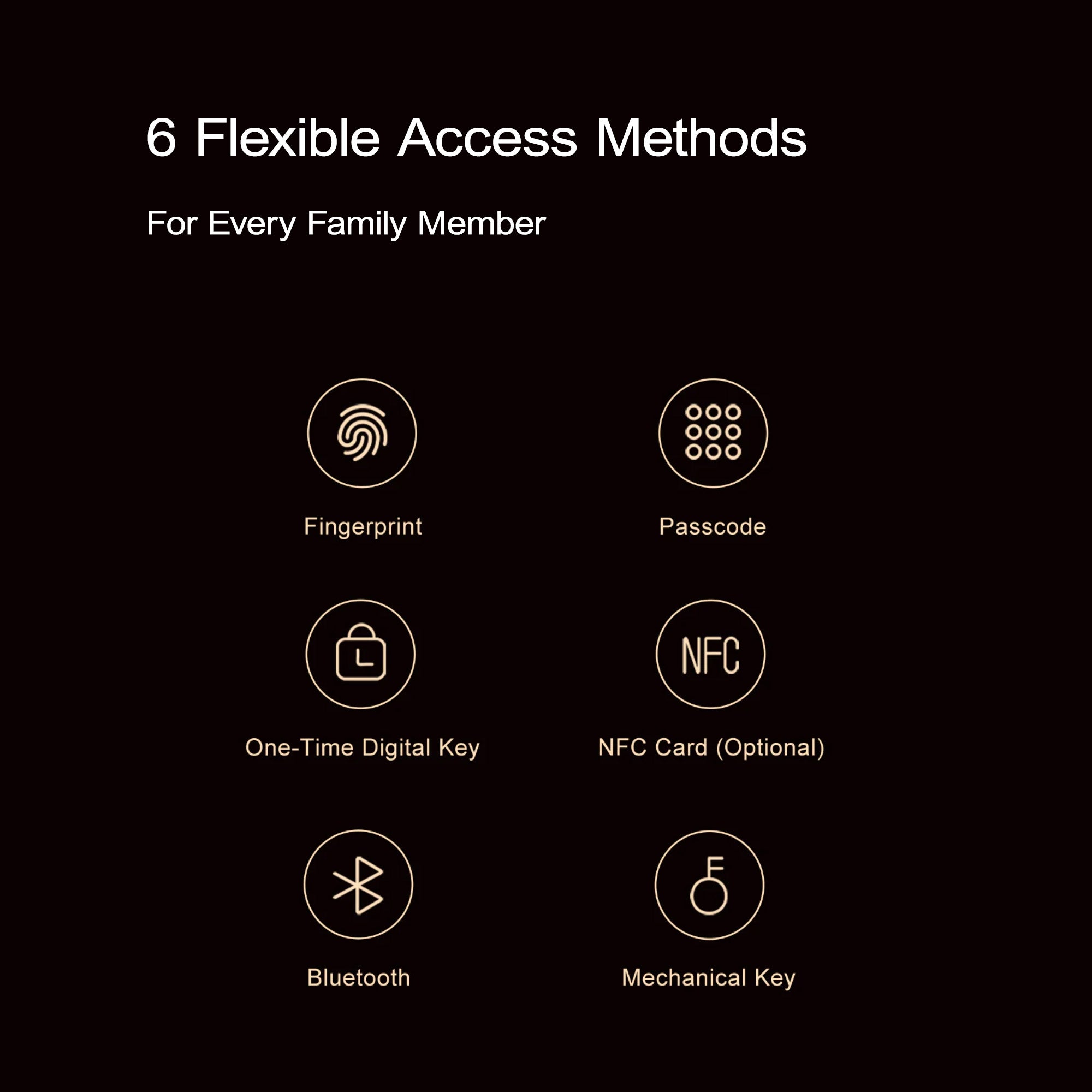List of 6 flexible access methods for a product on a black background
